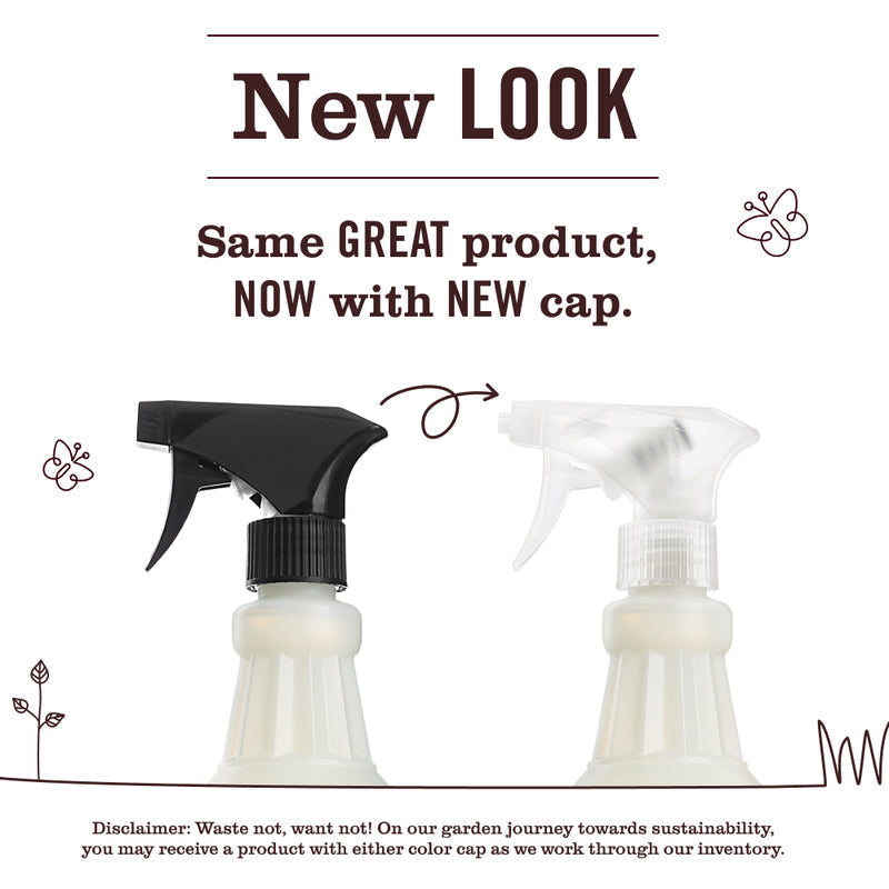 Mrs. Meyer's Acorn Spice Multi-Surface Everyday Cleaner