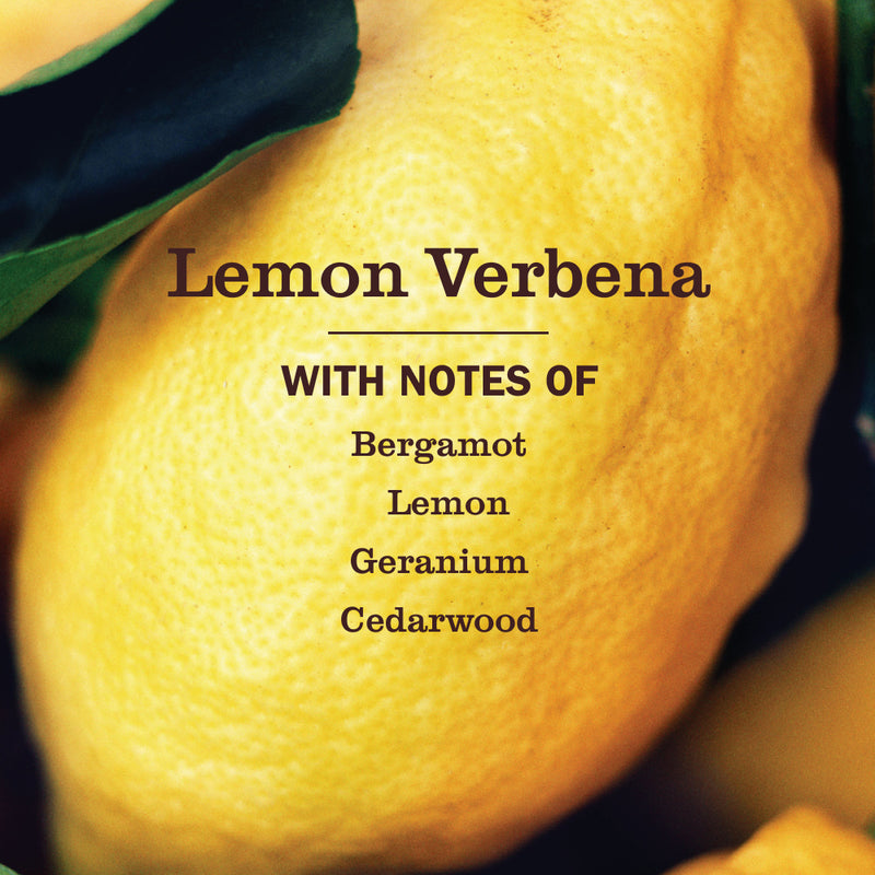 Mrs. Meyer's Lemon Verbena Foaming Hand Soap