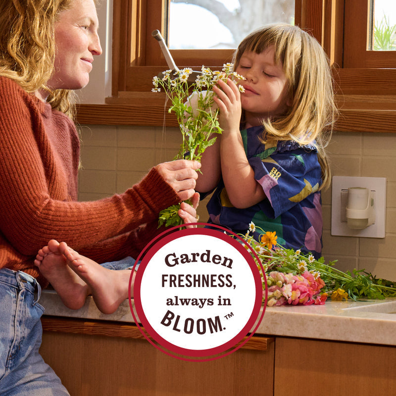 Fall Leaves Plug In Scented Oil Warmer With Refill