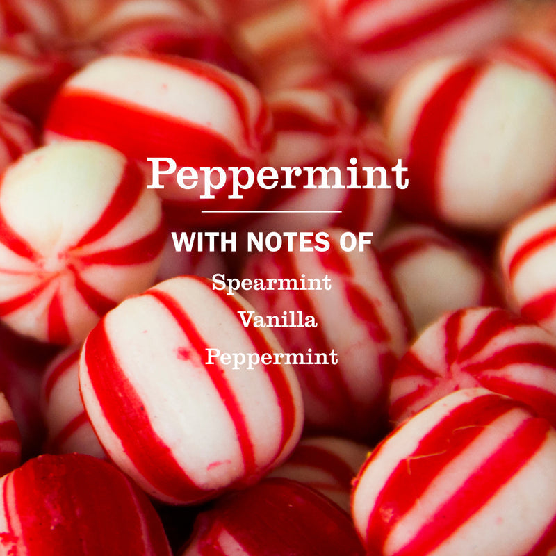 Mrs. Meyer's Peppermint Kitchen Basics Set