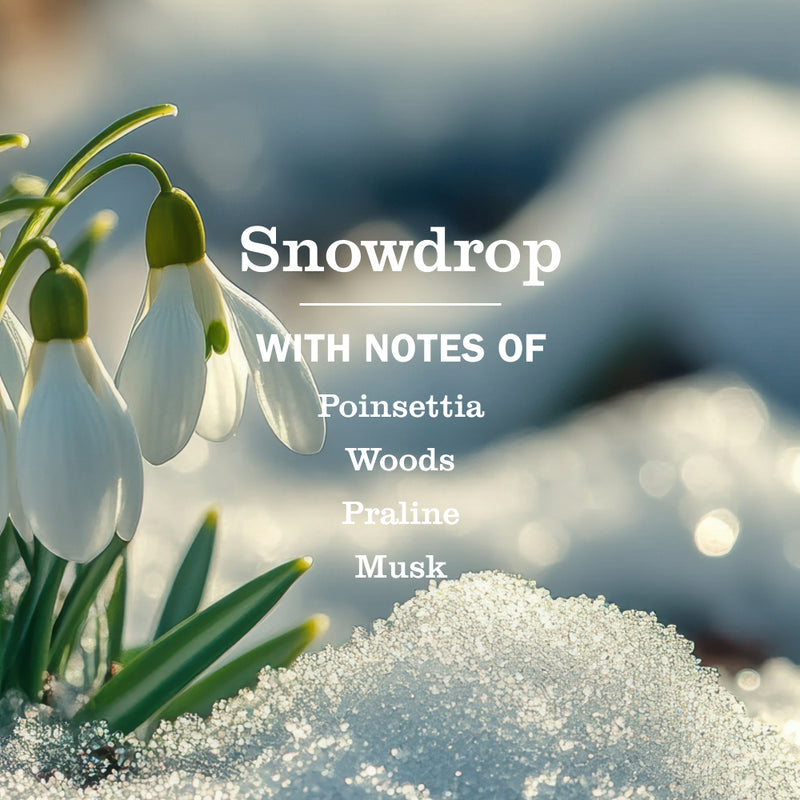 Snowdrop Hand Care 3-Count Bundle